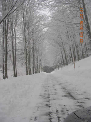 La strada sopra le Conserve